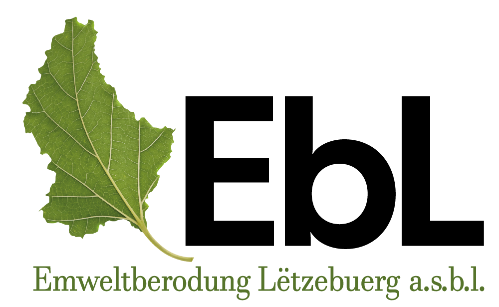 Ebl